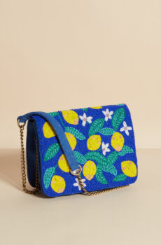 beaded shoulder bag in blue and yellow
